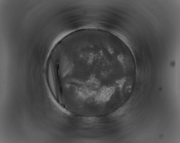 X0000092231045200710051215