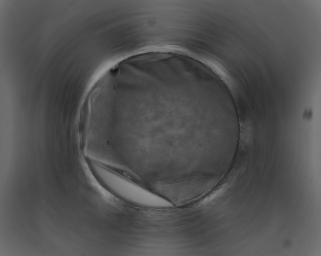 X0000092231046200710051215