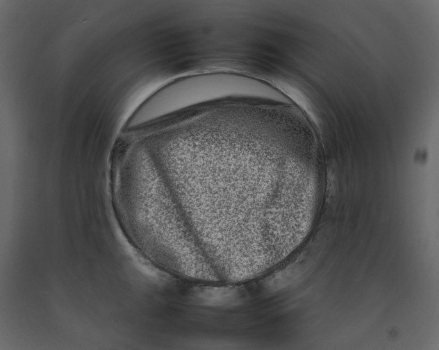 X0000092231047200710051215