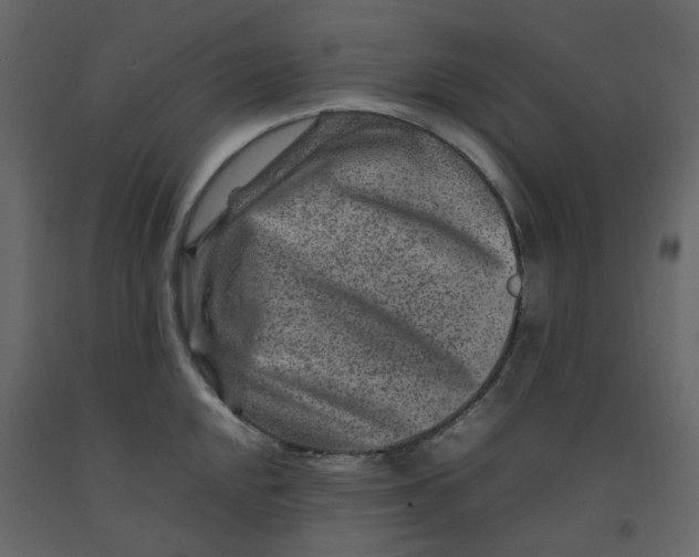 X0000092231048200710051215