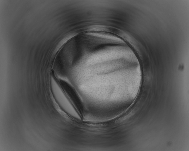 X0000092231049200710051215