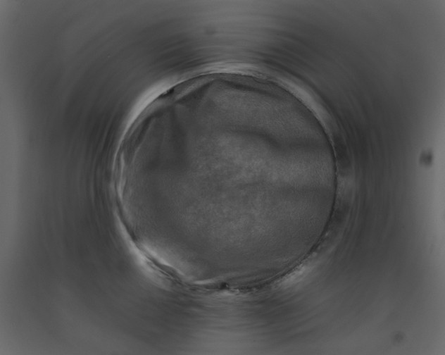 X0000092231050200710051215