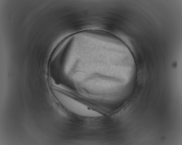 X0000092231051200710051215