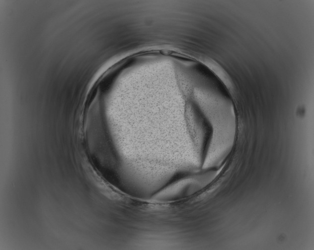 X0000092231052200710051215