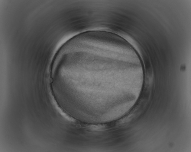 X0000092231053200710051215