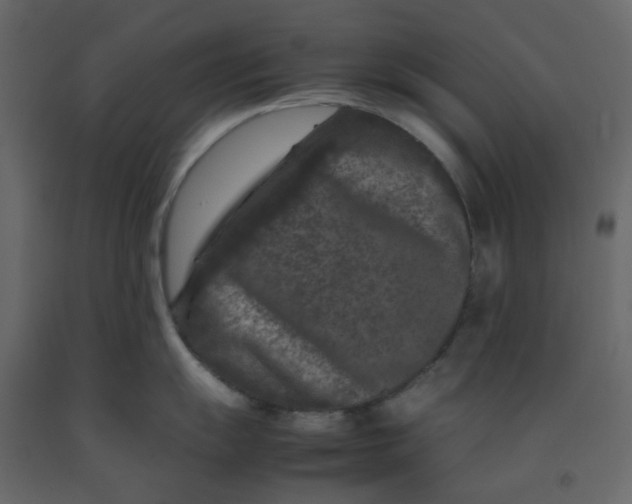 X0000092231055200710051215