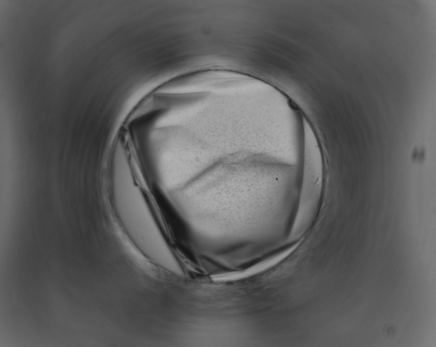 X0000092231056200710051215