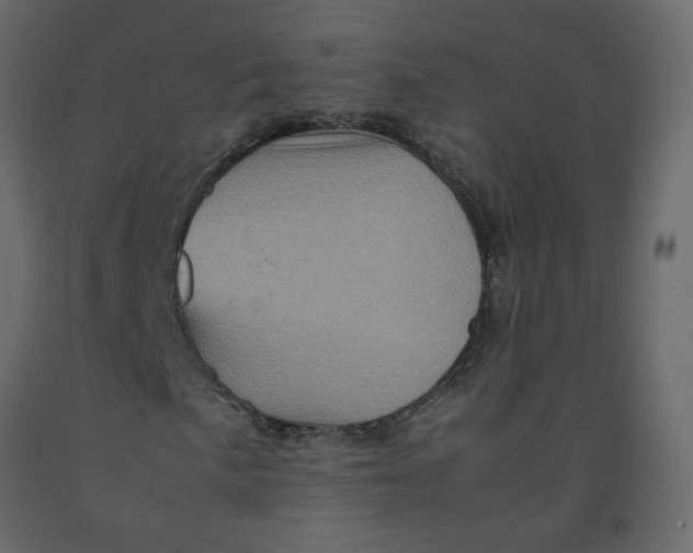 X0000092231057200710051214