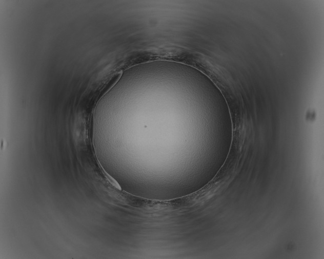 X0000092231058200710051214