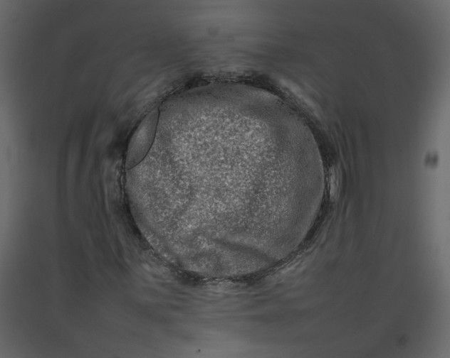 X0000092231059200710051214