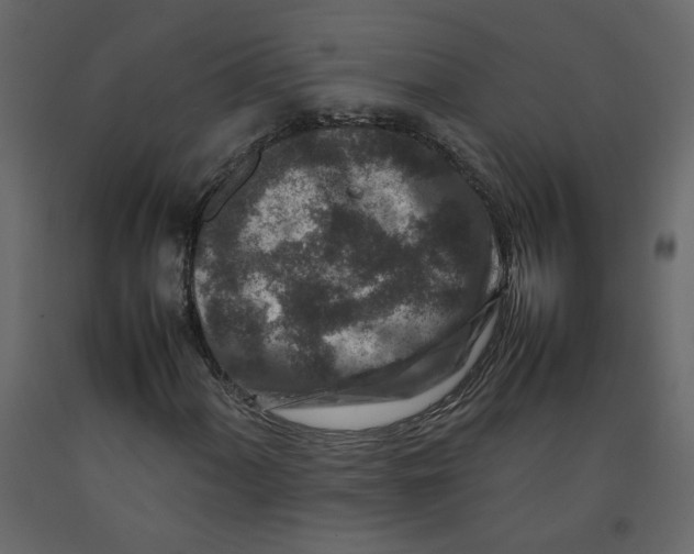 X0000092231060200710051214