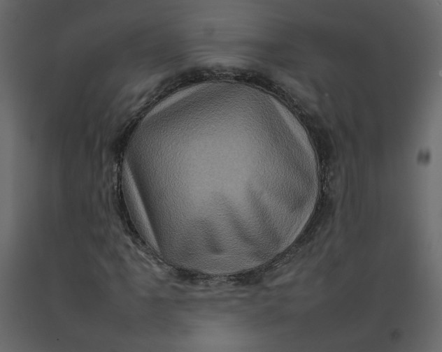 X0000092231061200710051214