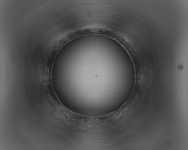 X0000092231062200710051214