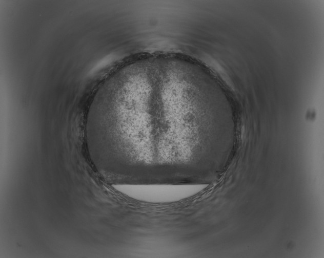 X0000092231063200710051214