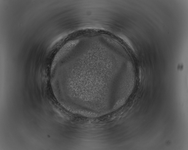 X0000092231064200710051214