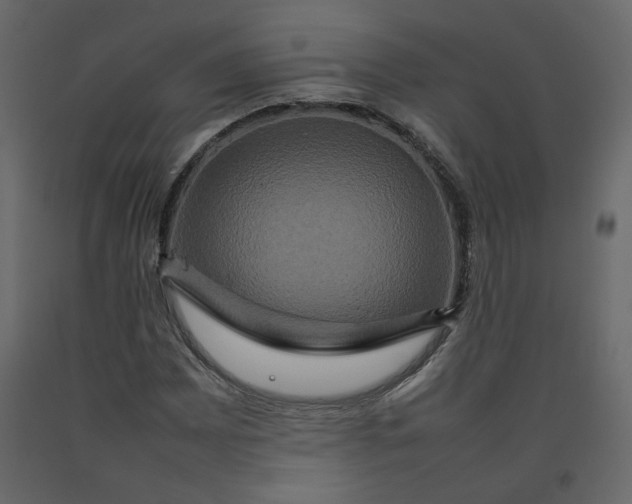 X0000092231065200710051214