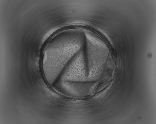 X0000092231066200710051214