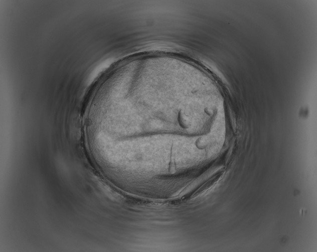 X0000092231067200710051214