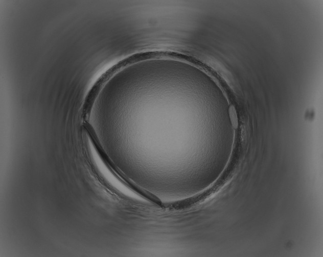 X0000092231069200710051214