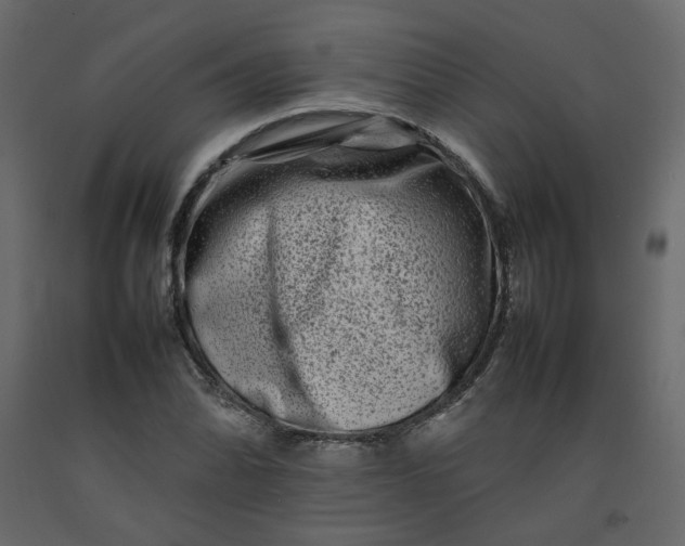 X0000092231070200710051214