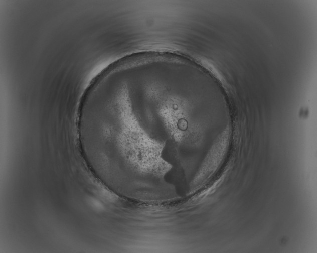 X0000092231071200710051214