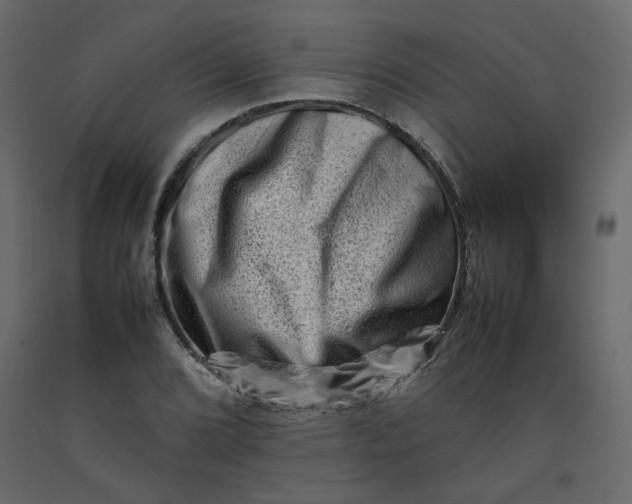 X0000092231072200710051214