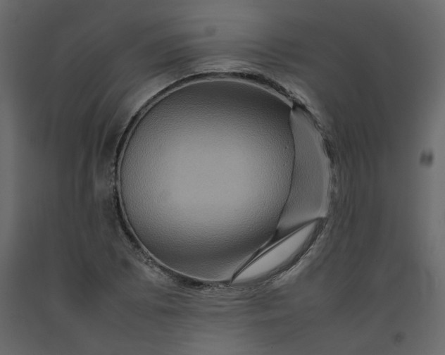 X0000092231073200710051214