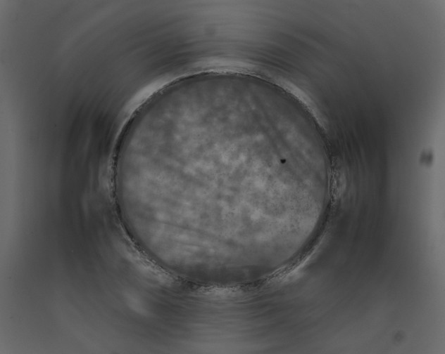 X0000092231074200710051214