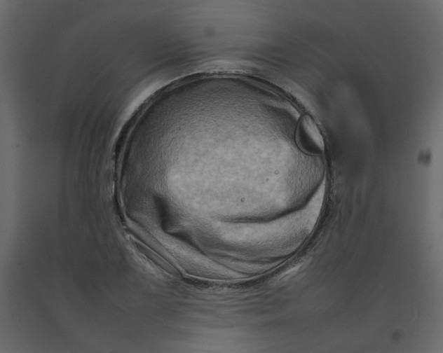 X0000092231075200710051214