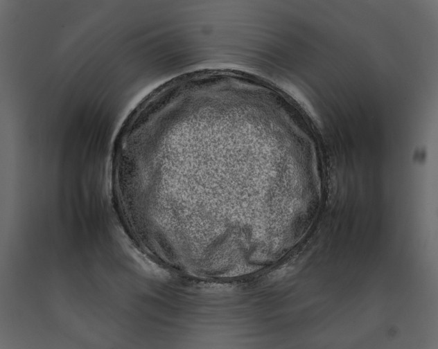 X0000092231076200710051214