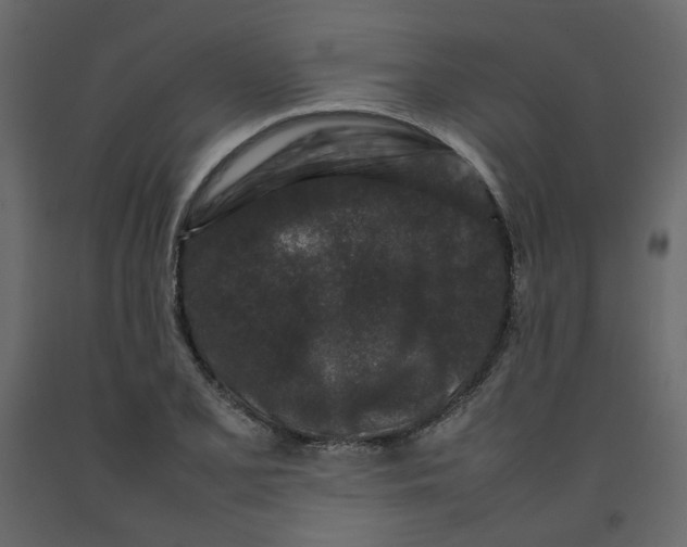 X0000092231077200710051214