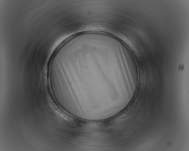 X0000092231078200710051214