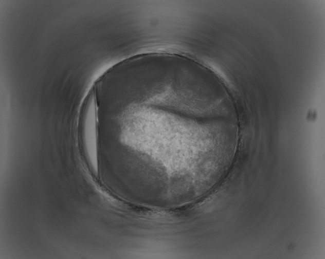 X0000092231079200710051214