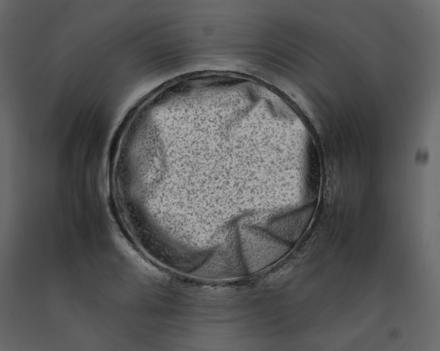 X0000092231080200710051214