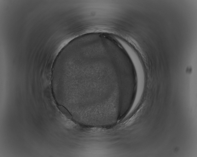 X0000092231081200710051214