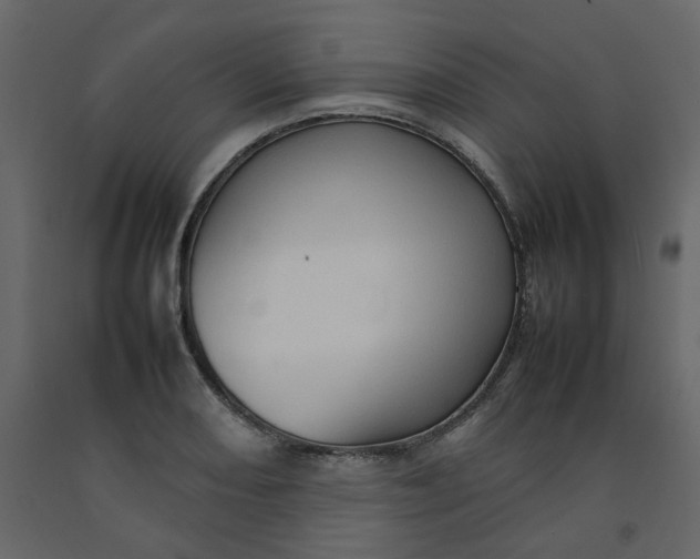 X0000092231082200710051214