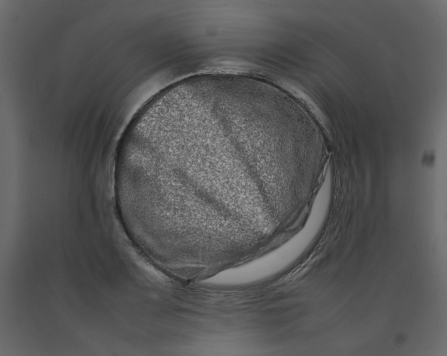 X0000092231083200710051214