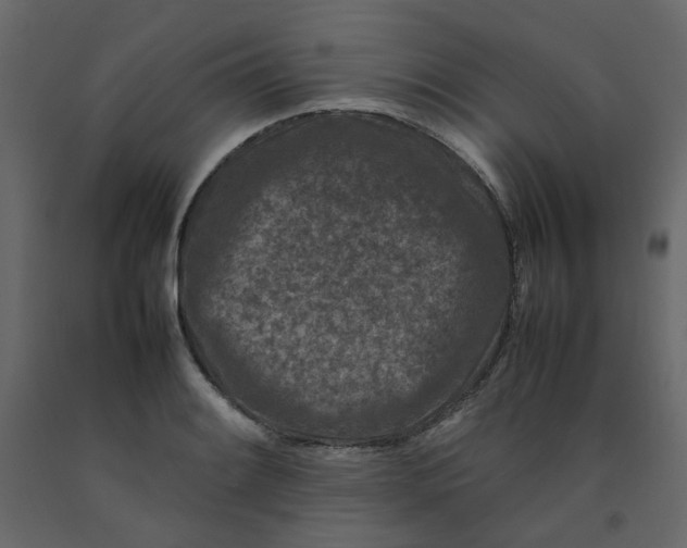 X0000092231084200710051214