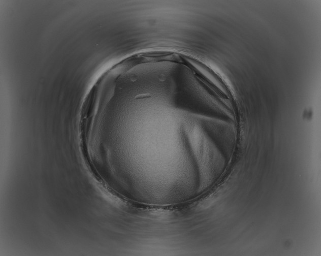 X0000092231085200710051214