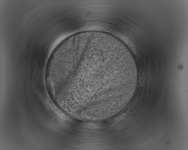 X0000092231086200710051214