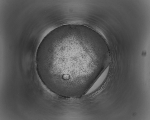 X0000092231087200710051214