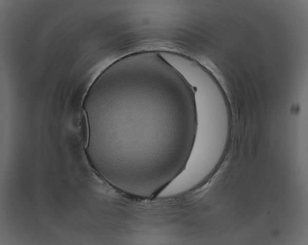 X0000092231089200710051214