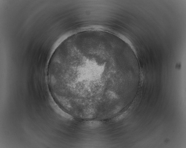 X0000092231090200710051214