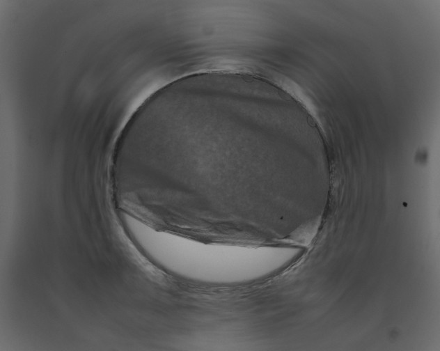 X0000092231091200710051214