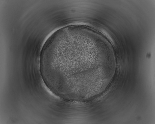 X0000092231092200710051214