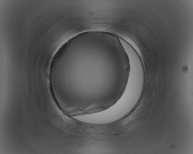 X0000092231093200710051214