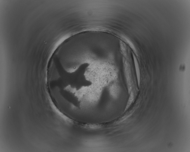 X0000092231095200710051214