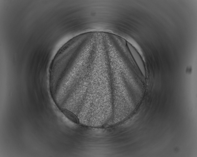 X0000092231096200710051214