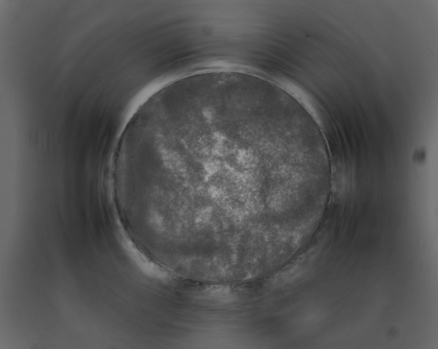 X0000092231098200710051214