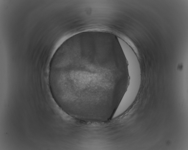 X0000092231099200710051214